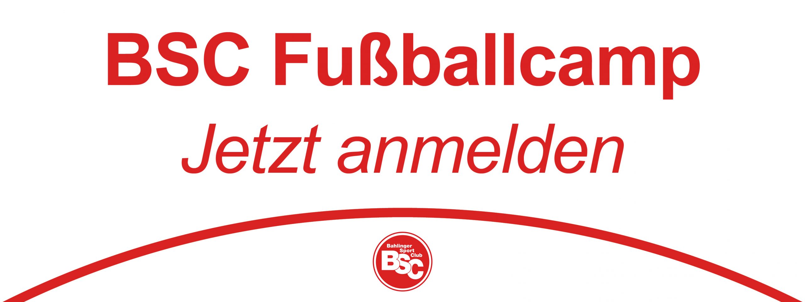 Fussball DFB original Lizenzlogo Regionalliga Pin Badge Bahlinger Sport Club BSC 