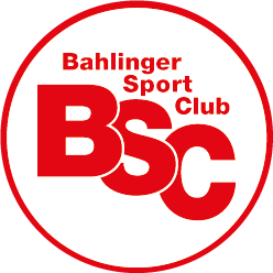 Alternativlogo des BSC