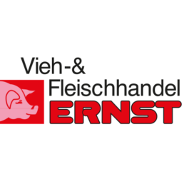 Sponsorlogo ERNST