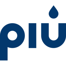 Logo PIU