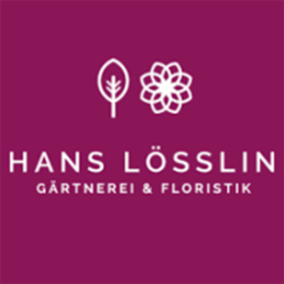Sponsorenlogo Hans Lösslin